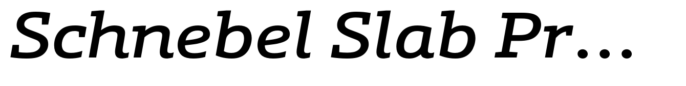 Schnebel Slab Pro Expanded Medium Italic